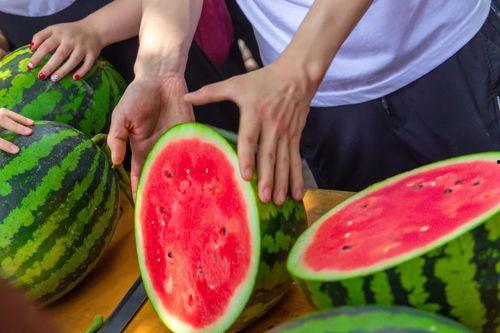 晋中学院网红吃瓜,校园风云再起