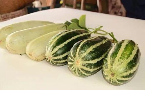 免费吃瓜 网红,网红带你领略网络狂欢盛宴