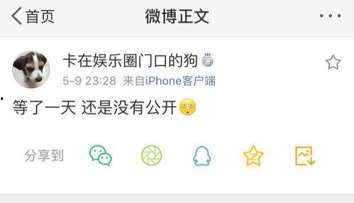 爆料吃瓜软件,吃瓜软件曝惊人内幕，明星隐私大曝光！