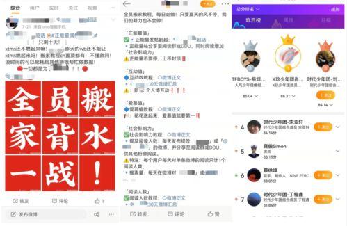 吃瓜网能收录吗安全吗,揭秘网络信息安全的双重保障
